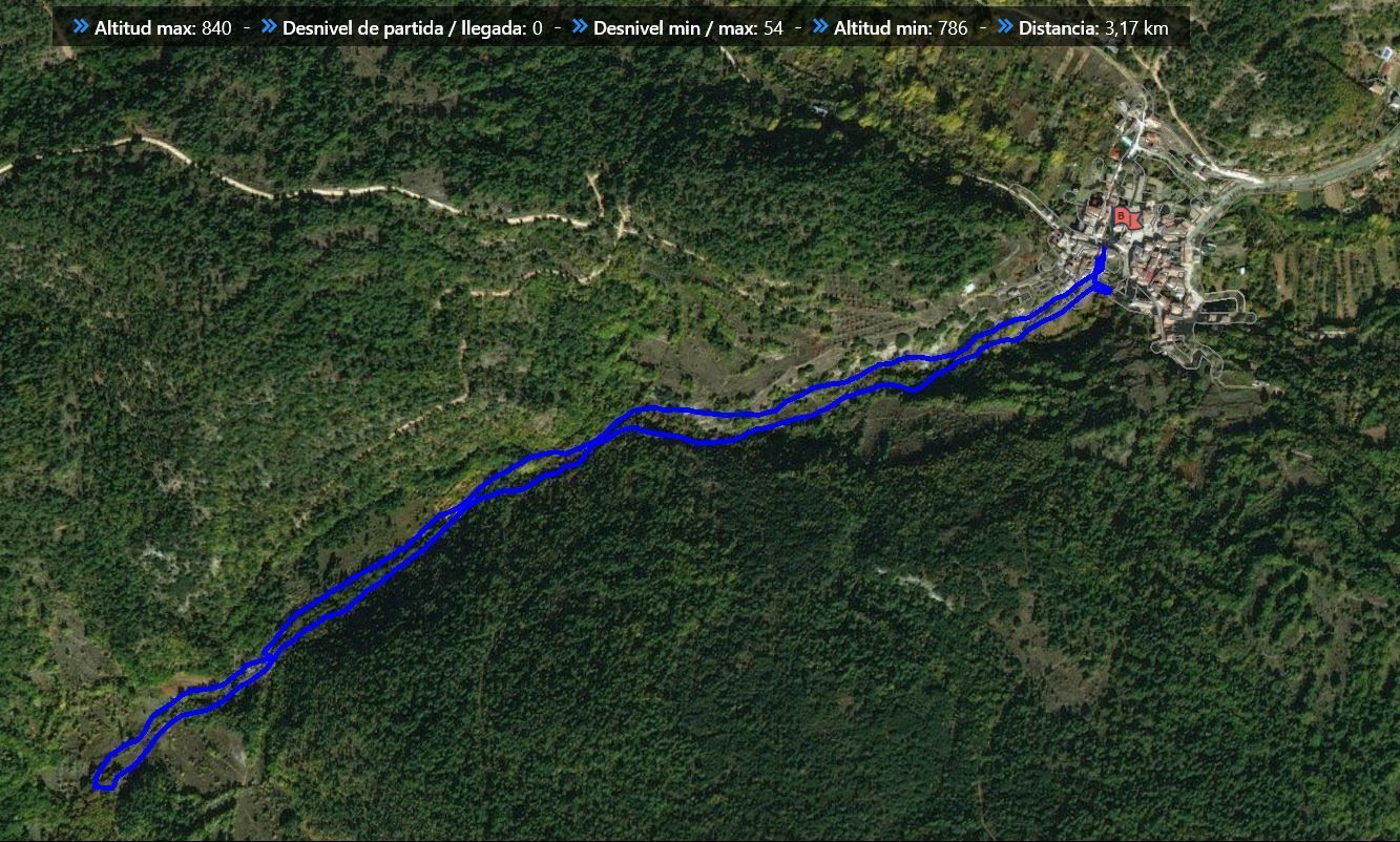 Ruta Roble Milenario