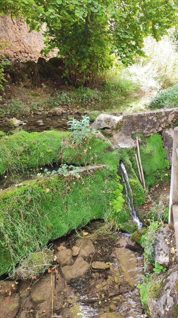 Zona de ocio Fuente Goz
